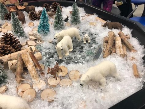 Creating a winter wonderland allows for children to experience hands on discovery based play about animals, seasons and their environment! Winter Tuff Tray Ideas, Winter Tuff Tray, Tuff Tray Ideas Eyfs, Tuff Tray Ideas Toddlers, Tuff Tray Ideas, Winter Activities Preschool, Winter Play, Eyfs Activities, Nursery Activities