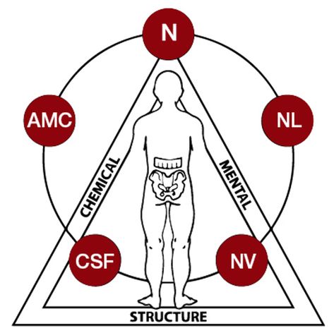 Applied Kinesiology — An Alternative Healing Method | www.splicetoday.com Applied Kinesiology, Detox Supplements, Muscle Testing, Intestinal Parasites, Peripheral Nervous System, Andrew Weil, Magical Thinking, Western Medicine, Alternative Healing