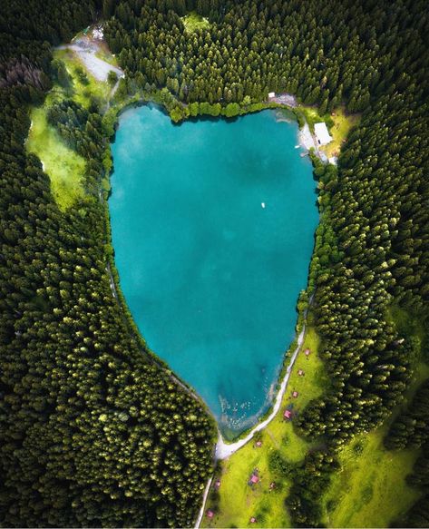 Lake And Forest, Bird Eye View, Birds Eye View, Aerial Photography, Birds Eye, Beautiful Birds, Golf Courses, Heart Shapes, Forest