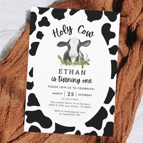 Holy Cow Im One Cow Boy 1St Birthday Invitation #zazzle #weddinginvitations #birthdayinvitations #babyshowerinvitations #zazzleinvitations #monogram #businesscards #graduation #homedecor Happy News, Cow Birthday, 2nd Birthday Invitations, 1st Birthday Invitation, Boy Birthday Invitations, Farm Birthday, Holy Cow, Second Birthday, 1st Birthday Invitations