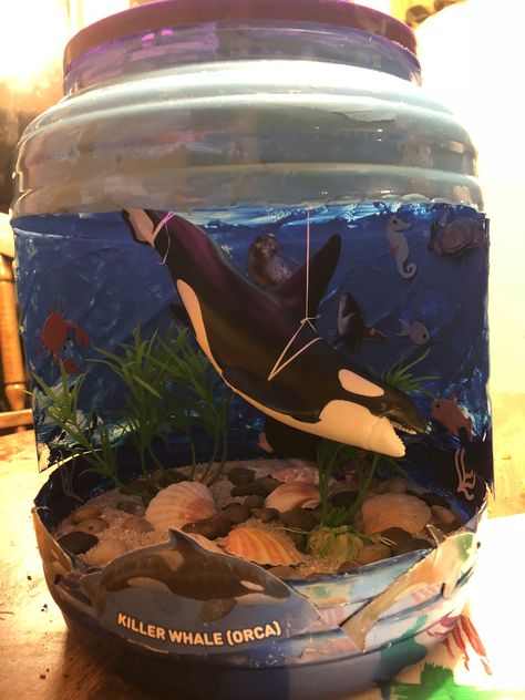 Diorama Ideas For Kids Ocean, Ocean Diaroma School Projects, Orca Diorama, Orca Diorama School Projects, Diarama Ideas Ocean, Ocean Diarama Ideas Kids, Diorama Kids, Recycle Design, Holy Cross