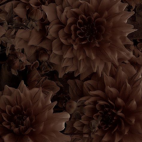 Dark Brown Flowers Aesthetic, Greyish Brown Aesthetic, Dark Brown Aesthetic, Flower Brown, Greyish Brown, Aesthetic Flower, Phone Aesthetic, Phone Ideas, Brown Flowers