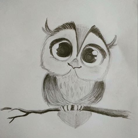 Cute Owl Sketch, Cartoon Bird Drawing Simple, Cute Owl Drawing Simple, Owl Sketch Simple, How To Draw An Owl, Owl Pencil Sketch, Simple Owl Drawing, Owl Drawing Easy, Easy Owl Drawing