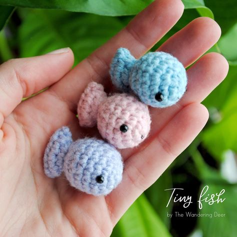 These Tiny Fish were designed by The Wandering Deer. You will need Sport Weight Yarn [2] and a 3 mm hook to make your tiny fish. The pattern is available for free on Instagram @wanderingdeer Cute Crochet Patterns Free, Cute Crochet Patterns, Crochet Fish Patterns, Crochet Sea Creatures, Tiny Fish, Crochet Fish, Crochet Patterns Free, Teaching Colors, Fish Patterns