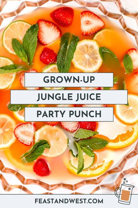 Tropical Jungle Juice is the ultimate party punch. It is an easy, customizable recipe that's perfect for crowds and just about any occasion. Malibu Jungle Juice, Jungle Juice With Tequila, Vodka Jungle Juice Recipes, Trashcan Punch Jungle Juice, 70s Punch Recipe, How To Make Jungle Juice, Wedding Jungle Juice, Tequila Punch Recipes Parties, Lion King Drink