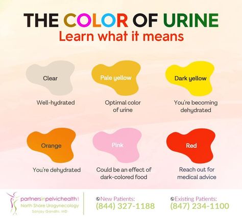 Feeling intense pain or a burning sensation while urinating can be signs of infection. Knowing when to relax and when to react can give you peace of mind. #womenshealth #healthtip #chicago #IL #partnersinpelvichealth Chicago Il, Womens Health, Peace Of Mind, Health Tips, Chicago, Mindfulness, Signs, Feelings, Canning