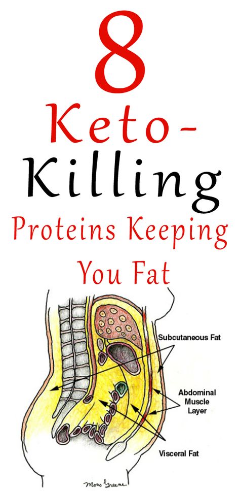 If you're looking for proteins to eat on a keto diet, but you're confused about all of the conflicting information this article is for you. Learn about 8 keto proteins that are making you gain weight. Breakfast Low Carb, Visceral Fat, Diets For Beginners, Makanan Diet, Diet Help, Keto Diet For Beginners, Diet Keto, Lose 50 Pounds, Keto Diet Plan