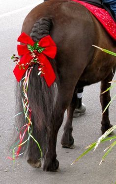 Horse Fancy Dress, Horse Braids, Equestrian Christmas, Horse Braiding, Horse Costume, Solar Christmas Lights, Parade Ideas, Christmas Horse, Horse Mane