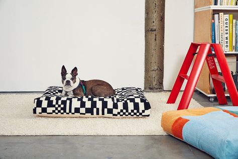 20 Modern Dog Beds You’ll Actually Want to Have on Display #dwell #dogbeds #giftsforpets #dogs Dog Bed Frame, Cat Furniture Design, Dog Lounge, Cute Dog Beds, Casper Mattress, Green Mattress, Dog Bed Modern, Dusen Dusen, Donut Bed