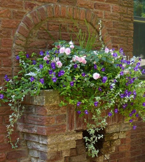 Torenia and Double Impatiens in a Brick planter Double Impatiens, Brick Planter, Fairy Garden Pots, Cottage Flowers, Trailing Flowers, Deadheading, Potted Flowers, Tiny White Flowers, Fairy Garden Designs