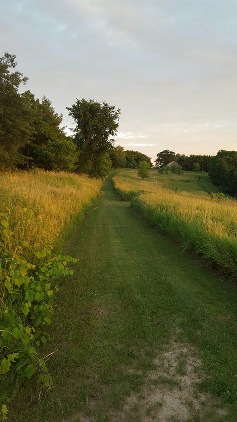 Top pasture trail- stueben wisconsin Wisconsin Countryside, Wisconsin Aesthetic, Wisconsin Landscape, Jeneva Rose, Bayfield Wisconsin, Wisconsin Summer, English Summer, Adventure Aesthetic, Countryside House