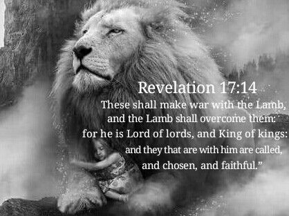 #mysavior #mykingjesus #chosen #kingofkings #lordoflords #thealphaandomega #thebeginningandtheend #itisfinished #thewariswon #childofgod #theonlysavior #heisrisen #lionofjudah The Lord Is Faithful, Word English, Lion Of Judah Jesus, Revelation 17, Lion Quotes, 2 Thessalonians, God Heals, Your Word, Book Of Revelation