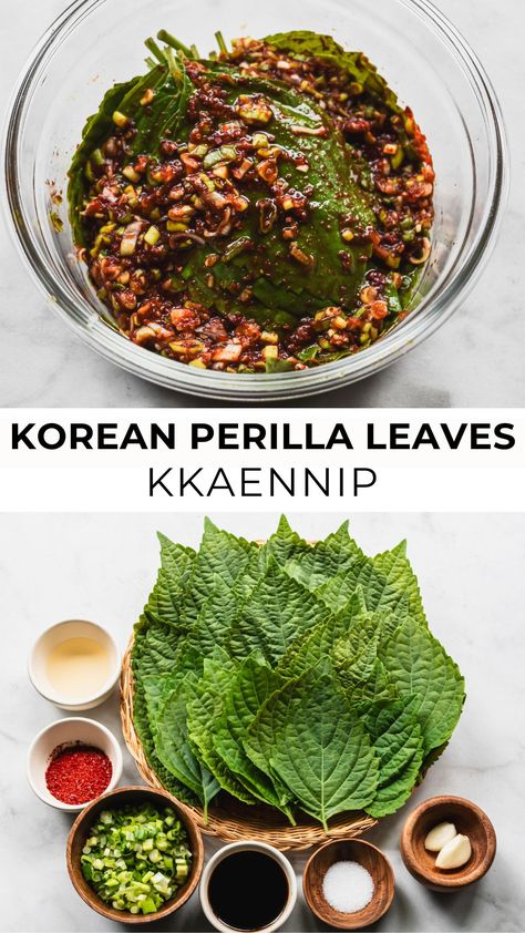 Korean perilla leaves with ingredients on the bottom Korean Perilla Leaves Recipe, Asian Vegetable Side Dish Recipes, Perilla Recipes, Perilla Leaves Recipes, Asian Party Food, Korean Side Dish Recipes, Shiso Recipe, Chinese Salads, Vegan Korean Food