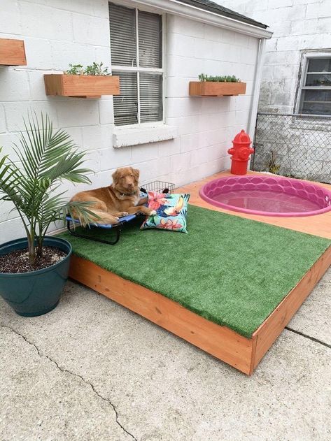 Dog Pool Diy, Diy Dog Run, Outdoor Dog Area, Backyard Dog Area, Dog Play Area, Spoiled Puppy, Dog Friendly Backyard, Dog Backyard, Outdoor Dog House