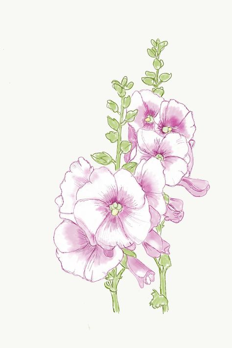 How To Draw Hollyhocks, Hollyhocks Flowers Tattoo, Hollyhocks Flowers Drawing, Hollyhocks Tattoo, Painted Hollyhocks, Hollyhock Drawing, Flower Stencil Patterns, Fence Painting, Snapdragon Flowers