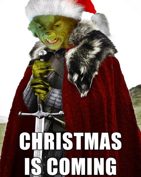 Brace yourselves! Christmas is almost here! Don't be a grinch about holiday shopping, come visit us at Dry Falls Outfitters today and let us help make it easy for you to choose a last minute gift! Funny Merry Christmas Memes, Grinch Memes, Tuesday Christmas, Dancing Mice, Merry Christmas Meme, Funny Christmas Photos, Monday Quote, Game Of Thrones Meme, Minions Images