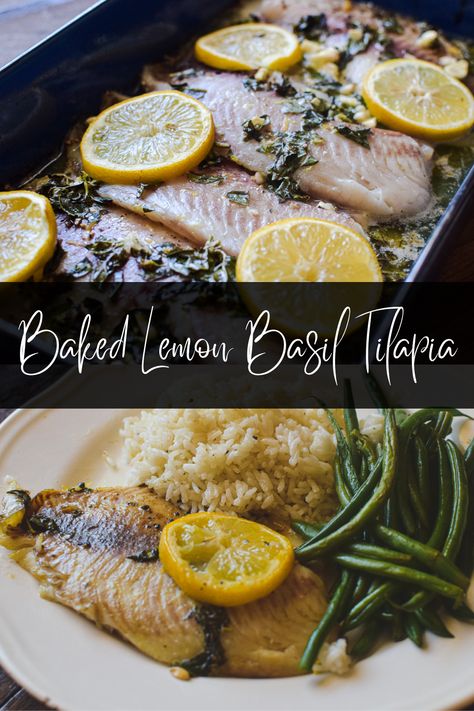 This Baked Lemon Basil Tilapia is a simple method for cooking a delicious flavorful tilapia. Baked in a lemon, basil and garlic butter, this is a fool proof way to make a delicious fish dish at home. Tilapia Baked, Tilapia Dishes, Baked White Fish, Sauteed Fish, Frozen Tilapia, Oven Baked Fish, Lemon Fish, Mango Salsa Salmon, Meatless Dishes