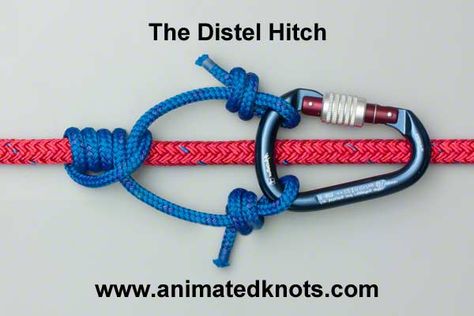 The Distel knot for rope ascending // Animated Knots, Climbing Knots, Bowline Knot, Reef Knot, Loop Knot, How To Braid, Survival Knots, Knots Guide, Overhand Knot