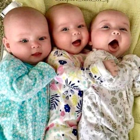 Triplets Babies Newborns, Tb Joshua, Twin Baby Boys, Foto Newborn, Triplet Babies, Foto Baby, Dream Baby