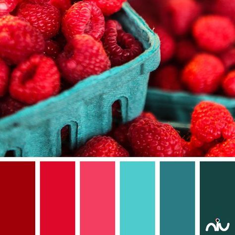 color palette Raspberry Colour Palette, Color Palettes With Red, Food Colour Palette, Raspberry Decor, Raspberry Color Palette, Food Color Palette, Food Colors Palette, Red Color Pallets, Red Color Combinations