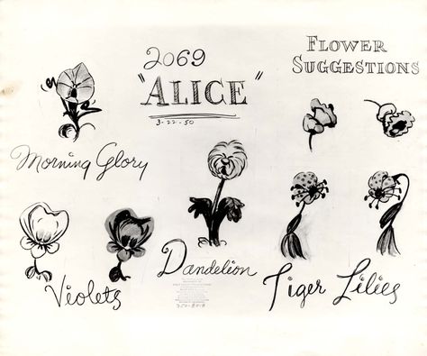 Vintage Disney Alice in Wonderland: Animation Model Sheet 350-8018 - Flower Suggestions for Morning Glory, Violets, Dandelion, Tiger Lilies Alice Wildflower Tattoo, Ephemeral Tattoo, Alice In Wonderland Tattoo, Vintage Flower Tattoo, Alice And Wonderland Tattoos, Alice In Wonderland Flowers, Tattoo Disney, Wonderland Tattoo, Tatuaje A Color