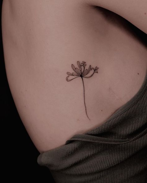 Masha S • Fine Line Tattoo • New York City | My interpretation of Honeysuckle Flower in Fine Line Tattoo Inquiries: LINK IN BIO • #finelinetattoo #finelinetattoonewyork... | Instagram Tattoo New York, Honeysuckle Tattoo, Tattoo New, Honeysuckle Flower, Fine Line Tattoo, Line Tattoo, Fine Line Tattoos, Line Tattoos, Fine Line