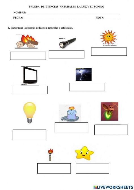 Family Activities Preschool, Light Activities, Sistema Solar, Online Activities, Luz Natural, Bullet Journal Inspiration, Family Activities, Journal Inspiration, Preschool Activities