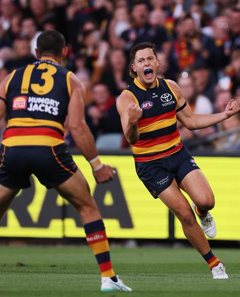 🕺🎂 | Instagram Adelaide Crows, Crow Photos, Instagram