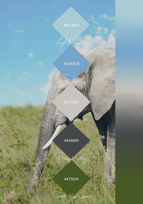 Elephant Color Palette #elephant #elephantcolorpalette #elephantcolors #nature #blue #grey #green #art #artinspo #artinspiration Elephant Color Palette, Grove Aesthetic, Elephant Colour, Palette Design, Maple Grove, Elephant Theme, Grey Color Palette, Color Palette Design, Hair Nails