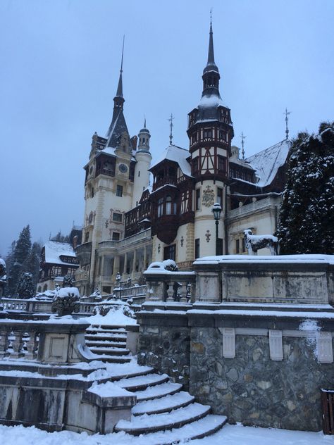 Romanian Castles, Romanian Royal Family, Witchy House, Danube Delta, Dark Academia Wallpaper, Peles Castle, Romania Travel, Gothic Buildings, Castle Mansion