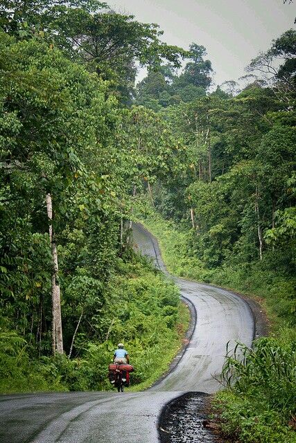 Hutan Kalimantan Borneo Travel, East Kalimantan, Super Pictures, Travel Honeymoon, Bicycle Touring, Bike Touring, Cycling Touring, Bike Tour, Facebook Cover