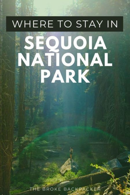 Where to Stay in Sequoia National Park | 5 EXCELLENT Areas in 2021 Where To Stay In Sequoia National Park, Sequoia National Park Hotels, Sequoia Forest, River Hotel, Yosemite Trip, 2024 Travel, Rv Trip, Sequoia Tree, Kings Canyon National Park