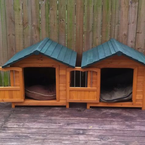 Double Dog House, Large Dog House Outdoor, Dog House With Porch, Dog Kennel And Run, Dog House Outdoor, Double Dog Kennel, Puppy Cage, Dog Enclosure, Cat Habitat