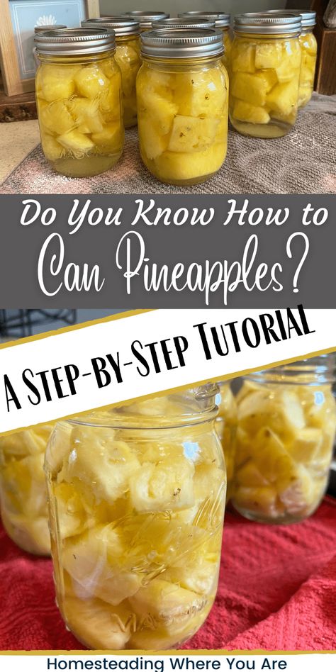 Canning Pineapples: A Step-by-Step Tutorial Canning Shelf, Canning Pineapple, Easy Canning, Pressure Canning Recipes, Canning Salsa, Pressure Canner, Canned Pineapple, Canning Tomatoes, Pressure Canning