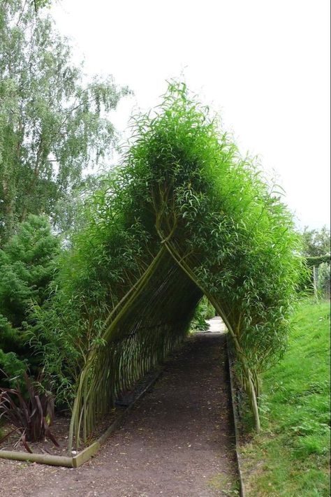 Natural Pathway, Staying Focused, Garden Architecture, Outdoor Decor Backyard, Garden Structures, Digital World, Farm Gardens, Lawn And Garden, Backyard Landscaping Designs