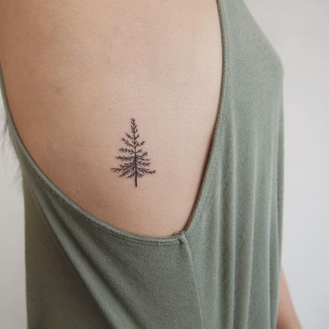 I love the idea of an evergreen tattoo as a symbol of something that remains strong throughout every season, it could represent faithfulness. Evergreen Tattoo, Small Feminine Tattoos, Science Tattoos, Tato Henna, Pine Tree Tattoo, Small Tattoos Simple, Tattoo Girls, E Tattoo, Side Tattoos