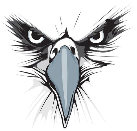 Eagle Logo Design, Eagle Cartoon, Vogel Silhouette, Eagle Artwork, Grey Eagle, Face Clipart, Eagle Face, Skull Stencil, Eagle Vector