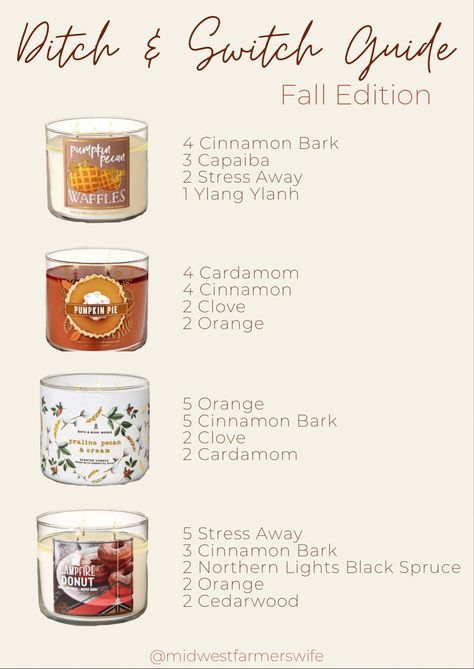 Some fall blends I have tried this far that is worth it in your house this fall. Ditch the toxic-filled candles and make the switch to essential oils this year. This was one of the hardest things for me, thinking I wouldn't have a house filled with all the delicious fall scents throughout the fall season. I was sure wrong, it did take some learning and trial and error but the outcome is so worth it to know your house is toxin free! Fall Scent Candles Diy, Fall Scented Essential Oils, Bath And Body Works Candles To Essential Oils, Fall Fragrance Oil Blends, Yankee Candle Essential Oil Blends, Best Fall Candles, Bath And Body Works Diffuser Blends, Soy Candle Making Business, Homemade Fall Candles