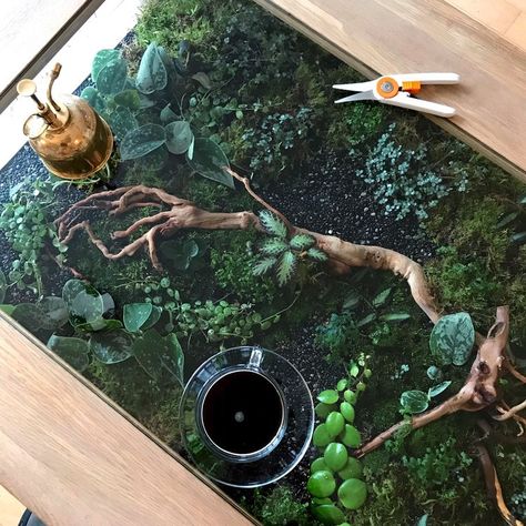 Table Terrarium, Tillandsia Display, Mos Wand, Terrarium Table, Satin Pothos, Aquarium Garden, Underwater Plants, Small Glass Vases, Garden Coffee Table