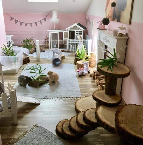 Indoor rabbit setup Rabbit Room Ideas, Bunny Room Ideas, Indoor Bunny House, Bunny Enclosure, Pet Room Ideas, Diy Bunny Cage, Indoor Rabbit House, Bunny Houses, Indoor Bunny