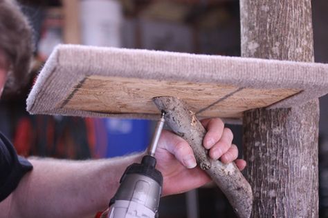 Build a Cat Tree Using Real Tree Branches | Your Old Pal Mick Kitten Trees Cat Towers, Cat Trees Diy Easy Homemade, Cat Tree House Outdoor, Cat Tree Diy Plans, Diy Cat Tree Plans, Cat Trees Diy Easy, Outdoor Cat Tree, Cat Trees Homemade, Custom Cat Trees