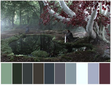 Game of Thrones (2011) Episode: "Winter is Coming" Director: Tim Van Patten Cinematography: Alik Sakharov Movie Color Palette, Cinema Colours, Winter Is Here, Winter Is Coming, Screenwriting, Horror Game, Photography And Videography, Movie Scenes, Colour Palette