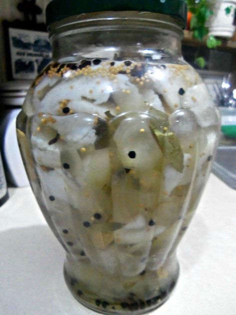 Pickled Herring Recipe, Ceviche Fish, Pickled Fish Recipe, Pickled Fish, Herring Recipes, Pike Fish Recipes, Teacup Crafts, Pickled Eggs, Savory Herb