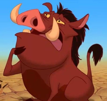 Pumba Lion King, Dreamworks Characters, Simba Lion, Wild Party, Timon And Pumbaa, Disney Background, The Lion King, Funny Reaction Pictures, Not Afraid