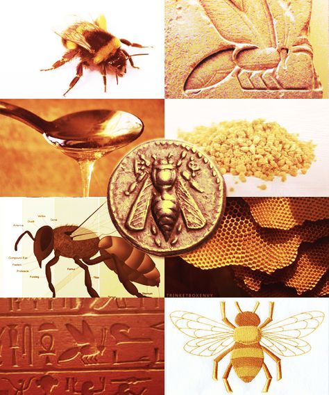 blackbucky: “ SYMBOLISM SERIES, Bees the Egyptians claim bees grew from the tears of the Sun God Ra when they landed on the desert sand. It was believed to be the sacred insect that bridged the... Sacred Bee, Greek Mythology Goddesses, Ancient Sumer, Minoan Art, Sun Worship, Ancient Egyptian Symbols, Ancient Egypt History, Ancient Goddesses, Norse Symbols