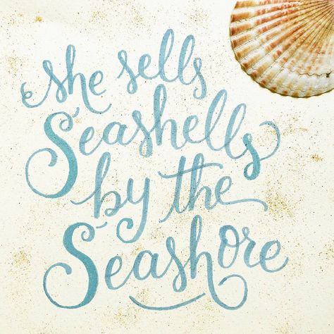 She sells seashells by the seashore She sells sheshells by the seashore She shells sheshells by the sheashore  #brush #tonguetwister #sea #lettering #designinspiration #typespire #thedailytype #letteringco #typographyinspired #typostrate #typographie #typographic #handdrawn #typeeverything #typearound #goodtype #50words Seashells Quote, Tongue Twisters, 50 Words, Ocean Spray, She Sells Seashells, Beach Quotes, Brush Lettering, Stone Rocks, Ocean Beach