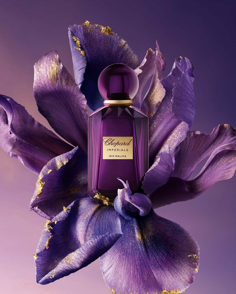 Perfume Adverts, Purple Berries, Fragrance Photography, Perfume Bottle Design, Perfume Photography, Perfume Ad, Introduce Yourself, Perfume Packaging, Cosmetics Photography