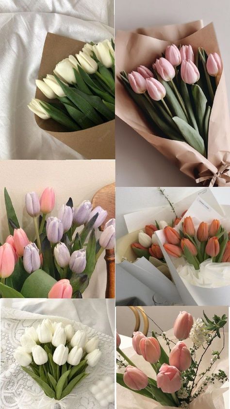 WHICH ONE IS YOUR FAVORITE ✨ Tulip Flower Pictures, Pretty Flowers Pictures, Flower Boquet, Luxury Flower Bouquets, Boquette Flowers, Nothing But Flowers, Spring Landscape, Flower Therapy, Beautiful Flower Arrangements