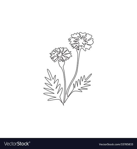 Garden Logo, Flower Sketch, Marigold Flower, One Line Drawing, Continuous Line Drawing, Pencil Drawing, Maple Leaf Tattoo, Line Drawing, Posters Art Prints