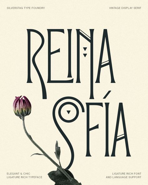 Introducing Reina Sofía: A typeface fit for a queen. 👑 Inspired by the Art Deco and Art Nouveau treasures of Madrid's iconic museum, this vintage-inspired font exudes elegance and artistry. ✨ Over 150 ligatures and alternates await your creative touch. ✨ Double-tap if you're ready to add a touch of vintage glamour to your designs! ✨ 🔺 Font: Reina Sofia - Vintage Display Serif Font #ReinaSofiaFont #ArtDeco #ArtNouveau #VintageTypography #FontLove #DesignInspiration #hustlemode Graffiti Font Alphabet Street Art, Title Font Ideas, Art Nouveau Branding, Graffiti Font Alphabet, 1920s Font, Art Deco Alphabet, Art Nouveau Typography, Font Art Design, Art Nouveau Graphic Design